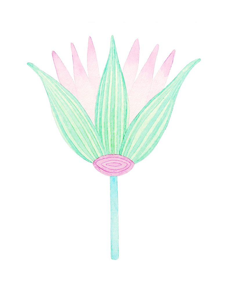 Lotus Flower - Aether Learning
